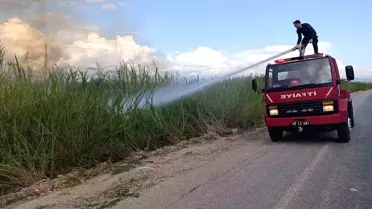 Manavgat'ta Çöp Dökme Yasağına Rağmen Yangın Çıktı