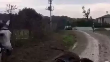 Kaçak Elektrik Akımına Kapılan Atlardan Biri Telefondan Kaydedildi