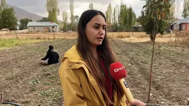 Yüksekova'da Kadın Kooperatifinden Safran Denemesi