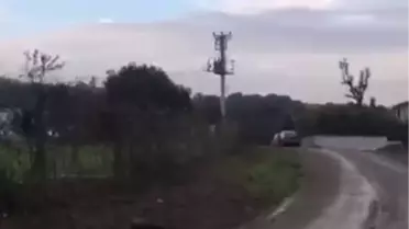 Kaçak Elektrik Hattı Atları Tehdit Etti