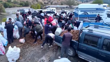 Arıza Yapan Kamyonetten Ücretsiz Patates Dağıtımı