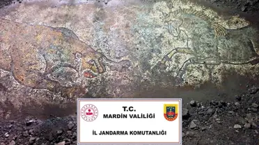 Mardin'de 1500 Yıllık Mozaik Bulundu