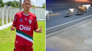 Ölüm anı kamerada! Başıboş inekler, genç futbolcuyu hayattan kopardı