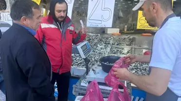 Fatsa'da Hamsi Fiyatı 25 TL'ye Düştü