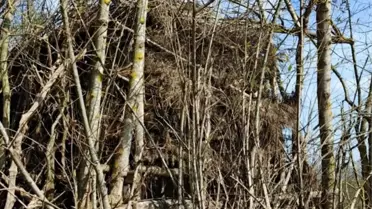 Sakarya'da Kaçak Avcı Kulübeleri İmha Edildi