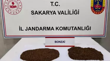 Sakarya'da Uyuşturucu Operasyonu: 2 Tutuklama