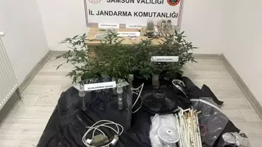 Kavak'ta Uyuşturucu Operasyonu: 1 Gözaltı