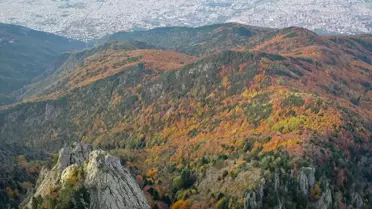 Uludağ'daki Sonbahar Renkleri