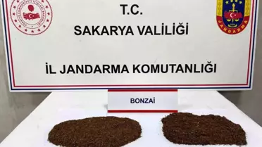 Sakarya'da Uyuşturucu Operasyonu: 2 Tutuklama