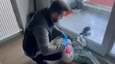 Samsun'da Oyuncak Ayıda 150 Gram Kokain Ele Geçirildi