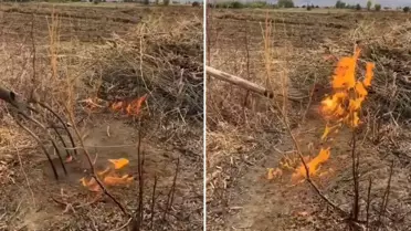 Vatandaş paylaştığı video ile yetkililere seslendi: İlimizin kurtuluşu olabilir