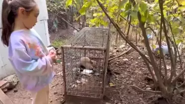 Küçük Kızın Tilki Koyumu Yürek Isıttı