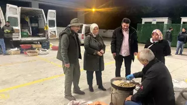 Düzce Kestanesinin Hasadı ve Önemi