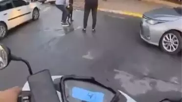 Mersin'de Rottweiler Saldırdı