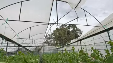 Antalya'da Sağanak Yağış Hayatı Olumsuz Etkiledi