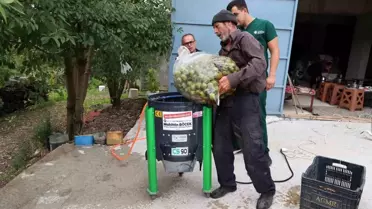 Antalya'da Ceviz Soyma Makineleri Üreticilerin Hizmetinde