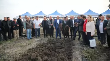 Edirne Kırmızısı'nın Hasadı Yapıldı