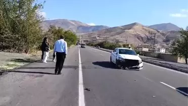 Elazığ'da kaza: 1 yaralı, köpek telef oldu