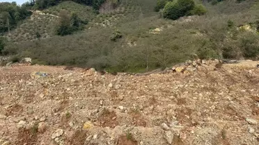 Üniversite Öğrencilerinden Fidan Dikimi