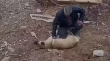 Fenalaşan köpeği kalp masajıyla hayata döndürdü