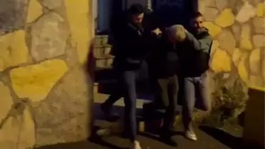 Sokak Köpeğini Ezen Şüpheli Yakalandı