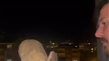 Baykuş Karacabey'de Balkona Girdi