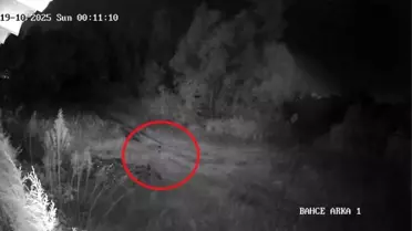 Kayıp genç mahallede panik yarattı