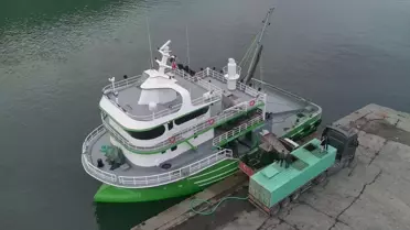 Hamsi Avı Bereketli Geçiyor