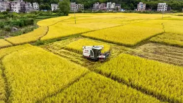 Ayazın Düşüşü: Sonbaharın Son Günü