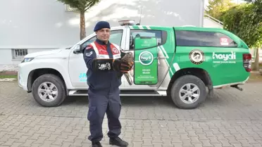 Yaralı Kızıl Şahin Koruma Altına Alındı