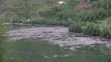 Artvin'de Sel, Barajı Tehdit Ediyor