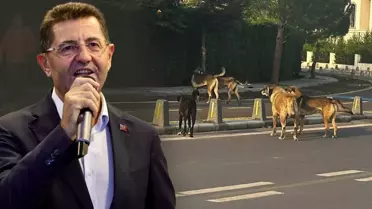 Çekmeköy Belediyesi'nin duyarsızlığı ilçe halkını isyan ettirdi