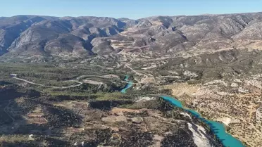 Karaman'da Zeytinciliğe Destek