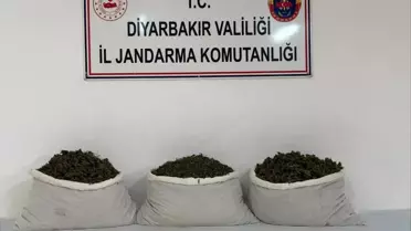 Lice'de Uyuşturucu Operasyonu: 15 Kilo Skunk Ele Geçirildi