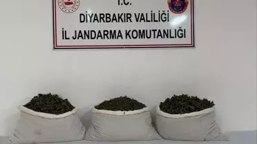 Diyarbakır'da Uyuşturucu Operasyonu