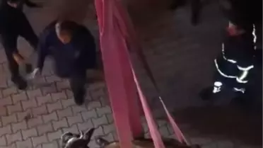 Damda Mahsur Kalan İnek Kurtarıldı