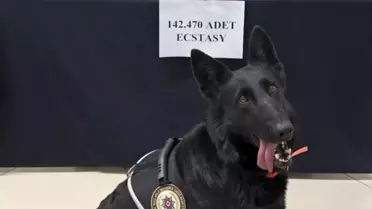 Karaman'da 71 Milyon Liralık Uyuşturucu Ele Geçirildi