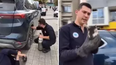 Kediyi otomobilden çıkarmak için hava tüpü kullandılar