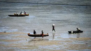 Toliara'nın Balıkçılık Ekonomisi