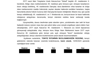 Danıştay'dan Martı'ya Lisans Onayı