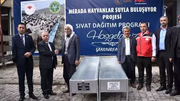 Siverek'te Hayvanlara Sıvat Desteği