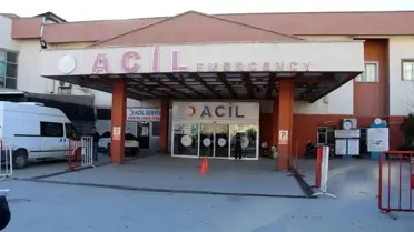 Şırnak'ta Çoban Köpekleri Kavgası Kanlı Bitti