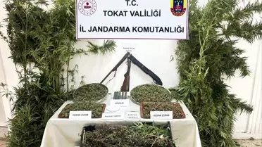 Tokat'ta Uyuşturucu Operasyonu: 4.5 Kg Esrar Ele Geçirildi