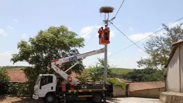 TREDAŞ'tan Leylek Yuvalarına Dronlu Bakım