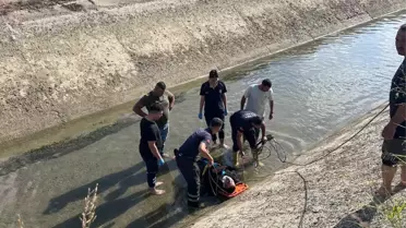 Seyhan'da Sulama Kanalına Düşen Kurtarıldı