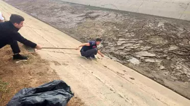 Köpek Su Kanalından Kurtarıldı