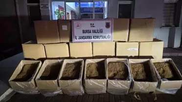 Bursa'da 750 kg Kaçak Tütün Ele Ge geçirildi