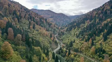 Giresun'da Sonbahar Renk Cümbüşü