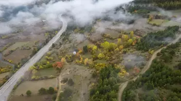 Ilgaz Dağı'nda Sis Etkisi