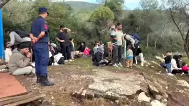 Milas'ta 74 Düzensiz Göçmen Yakalandı